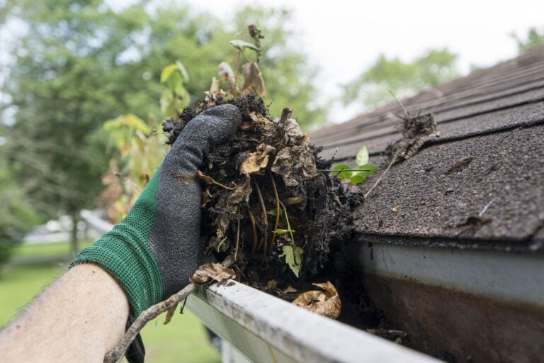 Roof & Gutter Cleaning